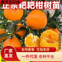 һlĴҊҰҸ̘˸̷Nֲθ̘