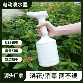 跨境电动喷水壶园林花艺洒水厨房清洁花木浇灌喷水家庭必备花洒喷