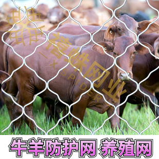 �Bֳ������������W�S�Ҹ��x���o�W�F�z�W���I��̨�W��\����W