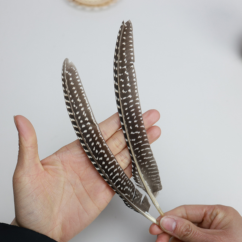 Fábrica al por mayor de bricolaje plumas pequeñas plumas naturales plumas de pollo salvaje plumas de pato jardín de infantes joyas hechas a mano gato divertido material de captura de sueños