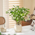 浓香型茉莉花盆栽室内外客厅阳台好养活花卉绿植四季常青驱蚊植物