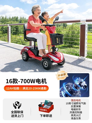 Qatlanan elektrik velosipedlər: aid for seniors - 24v-2516-models12a-lead-acid-battery-700w-motor-suitable-for-20-25km-commuting
