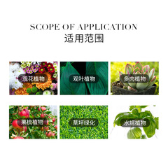 Plant nutrient solution type flower potted household hydroponic flower cultivation pothos fertilizer indoor green plant flower fertilizer