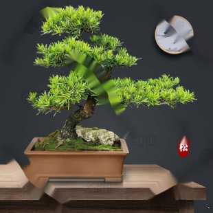 �_�h���S�����������_�h�ɾGֲ�҃ȿ͏dͥԺ�լ�Ϙ������辰�S��