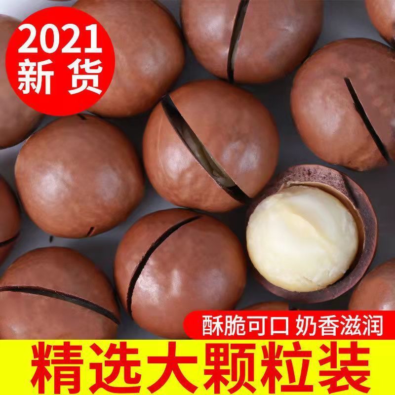 新货夏威夷果好剥奶香味含罐重1000g大颗粒坚果干果零食散装50g