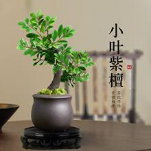 С~̴辰Gֲk҃ļBܿ͏dϘֲ