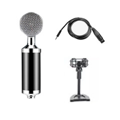 Professional 48V Large Diaphragm Condenser Microphone for Live Streaming, Professional Sound Card Compatible, Popular for Singing, Wholesale