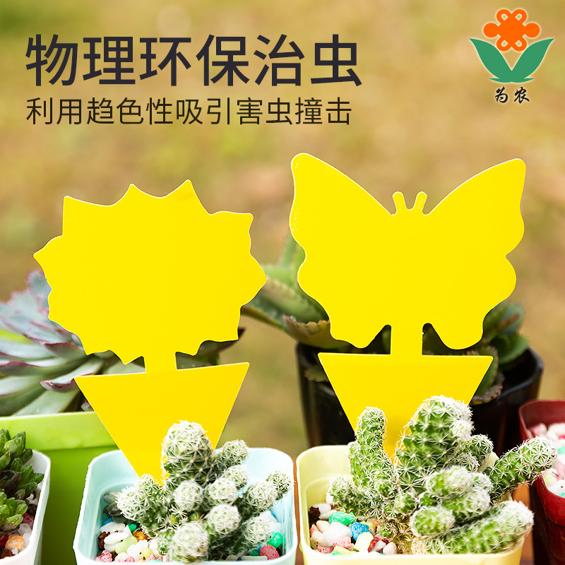粘蟲板黃板誘蟲板雙面黃板沾蟲板蝴蝶花型昆蟲陷阱異型粘板粘捕型