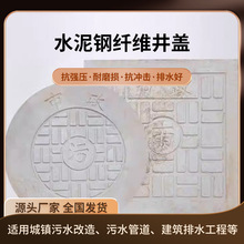 市政工程水泥混凝土井盖球墨铸铁方圆形井盖雨污水电字可选择文字