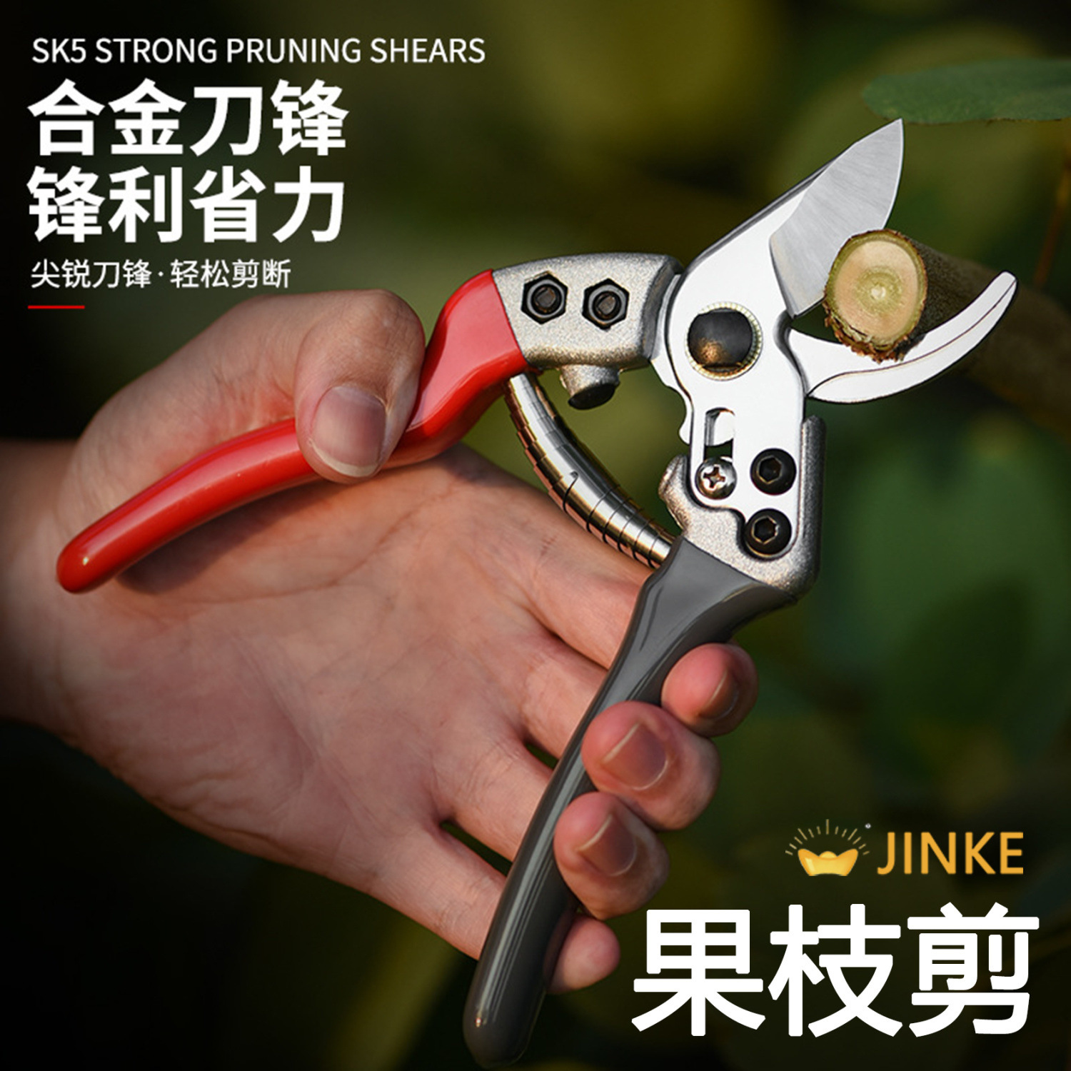 日本SK5果树修剪刀园林修剪树枝专用剪子省力园艺修花枝花艺剪刀