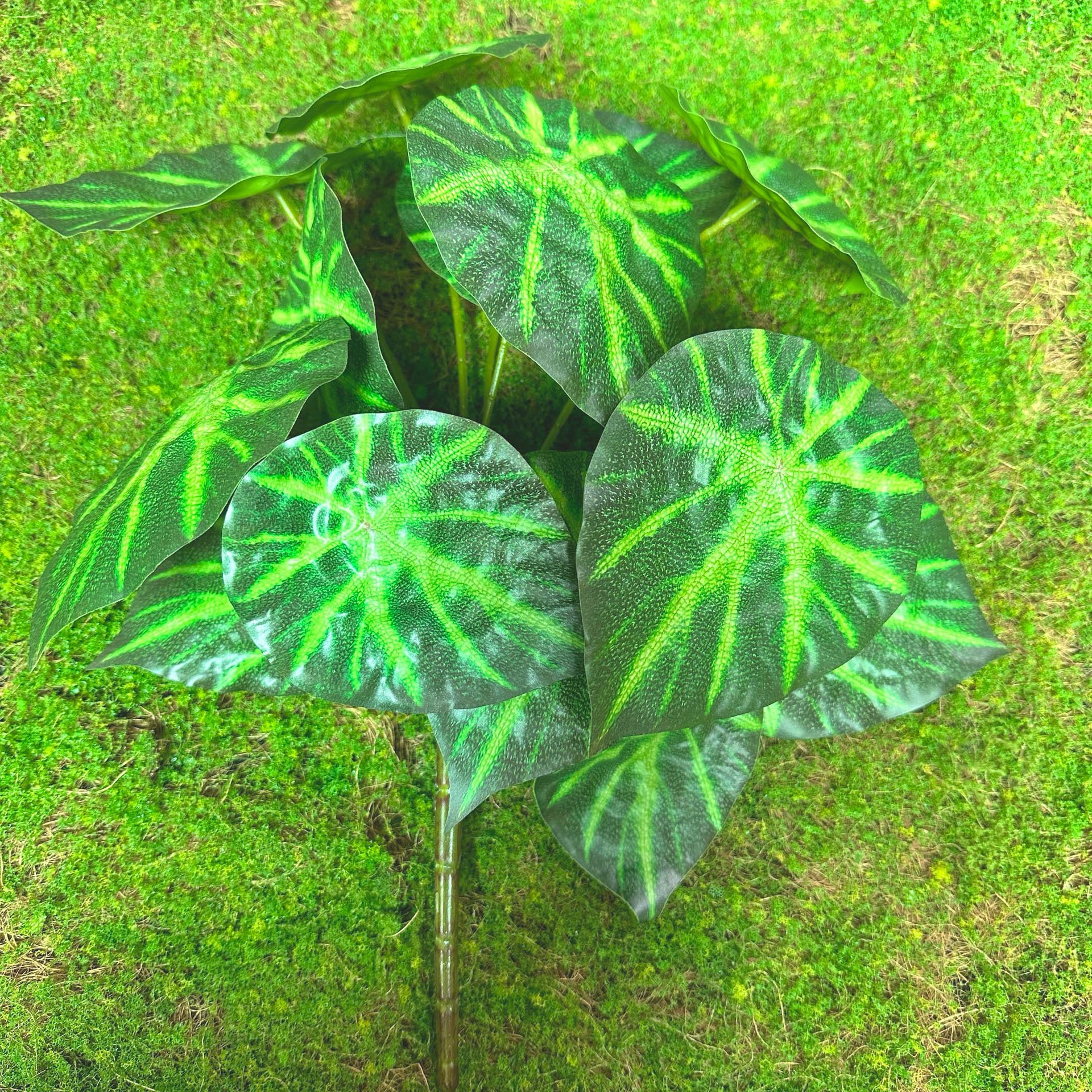 Fairy Cave tortuga hoja sentir arreglo floral hoja material planta esquina ventana belleza paisaje decoración artificial planta verde mango haz