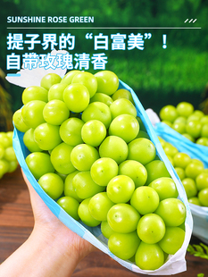 ꖹ�õ�����џo���������rˮ��5������������ӡ���Ӯ���������]