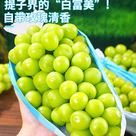 阳光玫瑰葡萄无籽青提新鲜水果5斤晴王葡萄香印提子当季整箱包邮