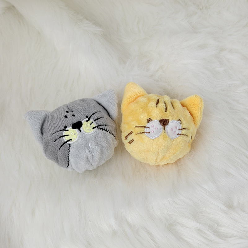 회색 고양이 + 노란 고양이