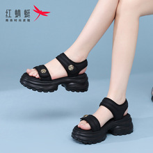 红蜻蜓老爹凉鞋女厚底轻便显高百搭松糕鞋2024夏季新款休闲沙滩鞋