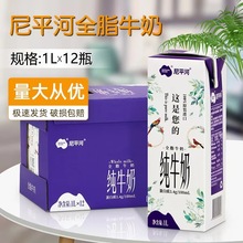 尼平河甄喜全脂牛奶1Lx12/箱 烘焙咖啡飲品酸奶商用波蘭大M出品