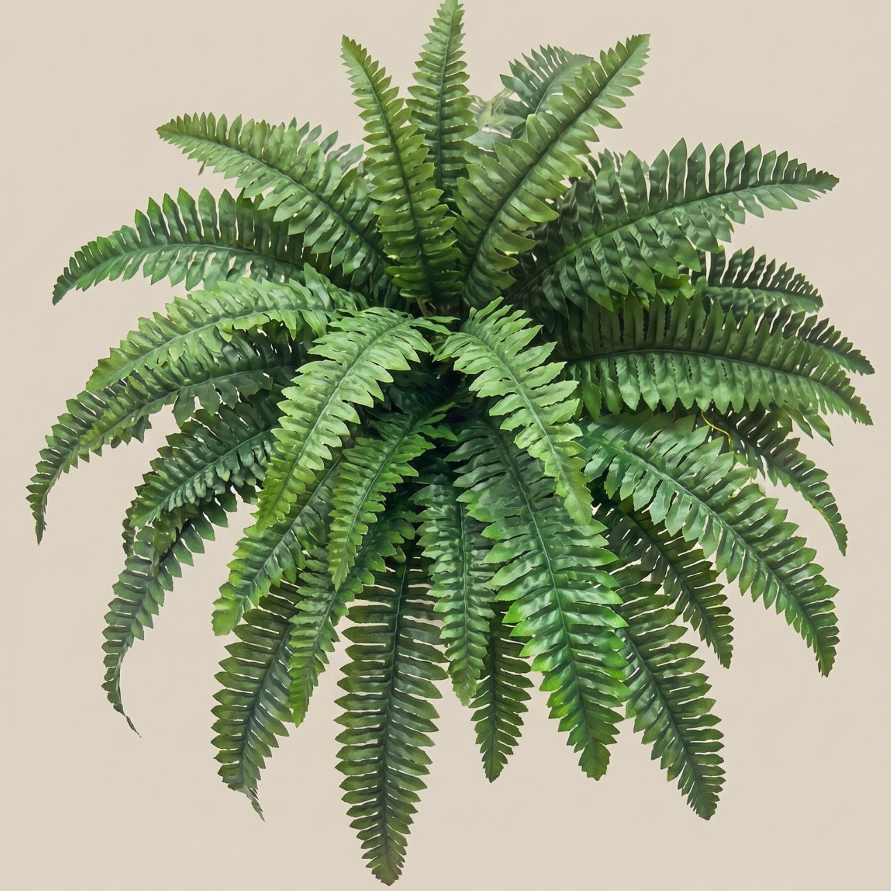 Cross-Border Artificial Persian Grass 55-Leaf Plant Home Decor Artificial Boston Fern Green Plant Decoration Fern Grass