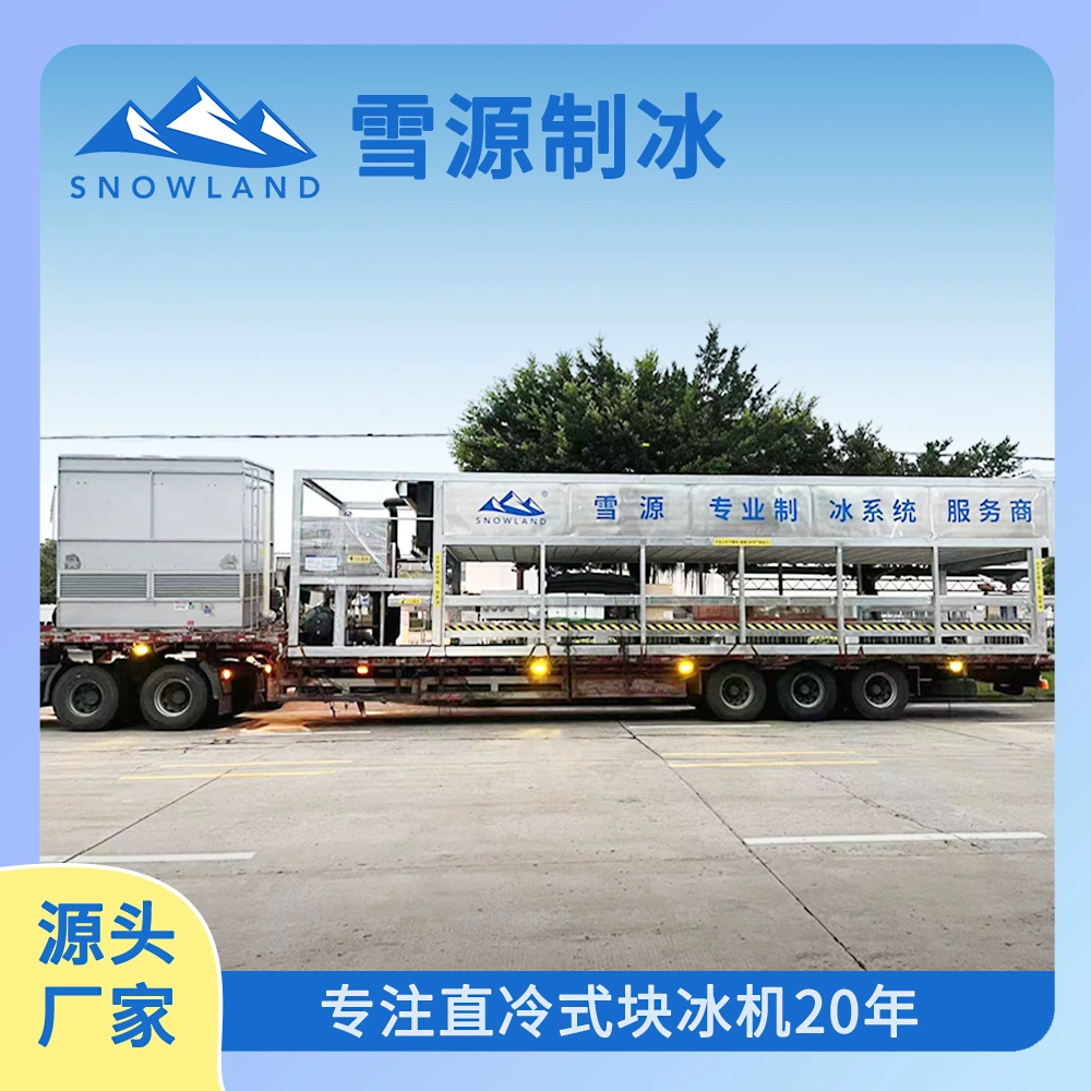 Xueyuan 25 тонн 25 кг полностью автоматическая машина для производства блочного льда с прямым охлаждением для обработки водных продуктов/продуктов питания, экологически чистая безсолевая вода