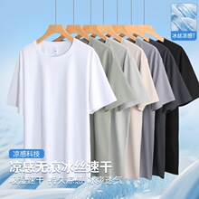 011-SGDX�ٸɟo�۶����ɫ��ɫ�\��ɫ���ɫ��ʯ�ҾGɫ�\����ĥë