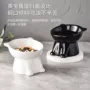 颈椎猫狗斜口大容量狗碗