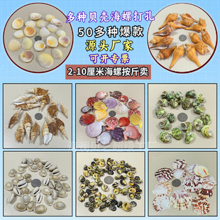 ����2-6cm���ݰ����u���bؐɳ�ֹ�diy�[̨����Ư��ƿ������Ȼ���
