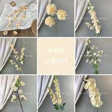 �㙉ɫϵ���滨 ��c��Y���b���·���廨�ٻ����Q�������l