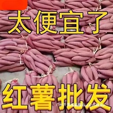 �عϷ���10�����ɽ��9��ܛ���rɳ������Ŵ�r���������ļt�����S