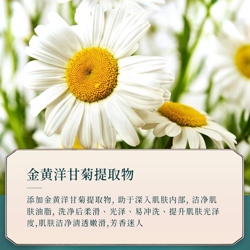 韓芬菊柚保濕美肌香氛沐浴露呵護肌膚錦密奶泡清潔毛孔沐浴液批發
