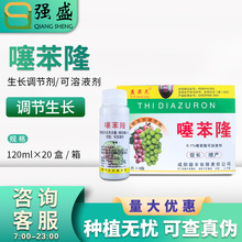 益果灵 0.1%噻苯隆 葡萄膨大剂 咸阳德丰促进果实生长调节剂120ml