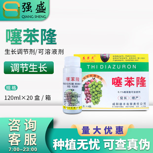 ����` 0.1%�籽¡ ������� ��ꖵ��S���M�������L�{����120ml