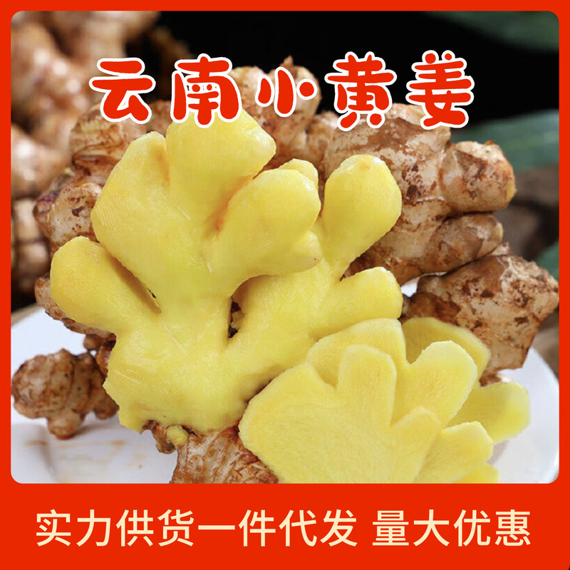 Authentic Small Yellow Ginger, a Specialty of Yunnan. Freshly Dug and Shipped, the Ginger Is Spicy and Juicy, Packed in Whole Boxes and Shipped Directly from the Place of Origin