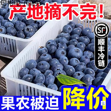 �{ݮ���rˮ�������������w����r���Fժ�ش����S���]