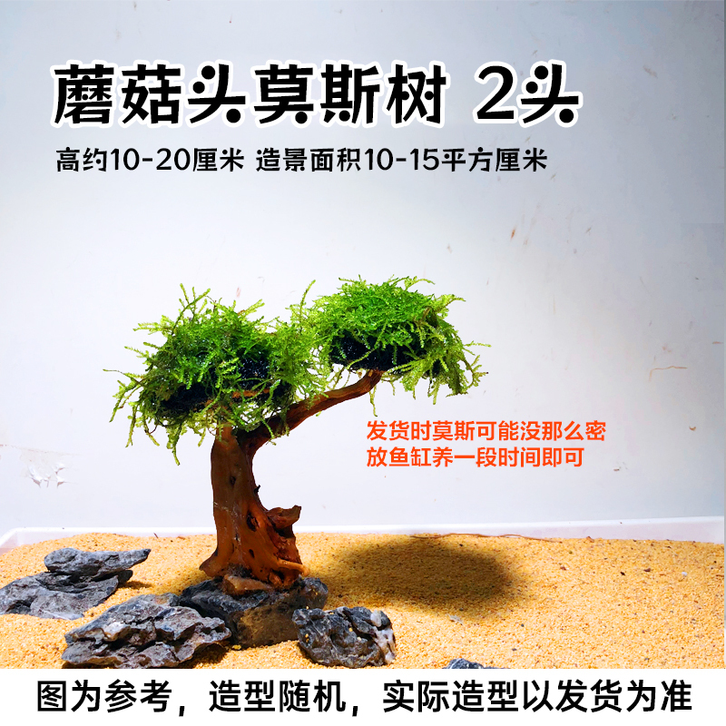 鱼缸造景莫斯树鱼缸树真树沉木水造景懒人造景无需底沙鱼缸摆件|undefined