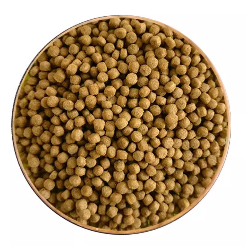 Nutritious Turtle Food Stone Money Turtle Food Snapping Turtle Food Brazilian Turtle Food Turtle Food Water and Land Baby Turtles Fish Shrimp Dried Turtles