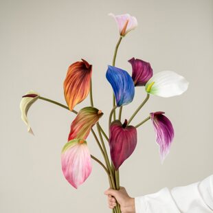 High-quality moisturizing Guanyin lotus lumina palm soft rubber goose palm Morandi floral photography props