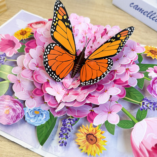 �羳3D�������w�R���߼��иж������r��ף�������ŷ⿨Ƭ���տ�