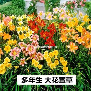 �ļ��_����������n���ͺ�ֲ���������ݻ���ر�����ֲ������