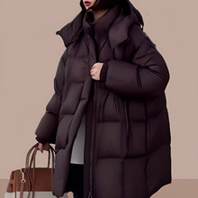 2025�ﶬ���¿�Ӻ��޷��n���OӋ�Ќ�����Ᵽů��a���������