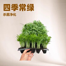 ����Ҭ�ӿ��磨Ѩ�P�磩΢���^�@�־G����ˮ�໨��С�����ļ����G