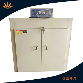德瑞祥定制五金除湿干燥箱内循环风高温不锈钢恒温烤箱时效炉厂家