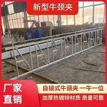 牛颈夹双开单开活动位镀锌材质加厚限位栏牛颈夹配件牛夹牛颈夹