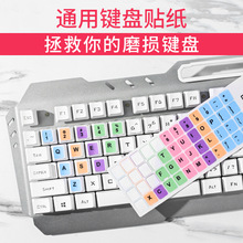 电脑键盘数字贴台式电脑按键机械贴字母卡通数字彩色可爱磨砂