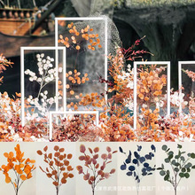 �Gֲ�O���~���ȼ�����c�ҾӾƵ��bٻ�ֲ���~ܛ�b�쾰�F؛���l