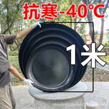 ����̖���B���бP��ڏ���Ͱ�ױP�Ӻ��ͺ����������л����ɫ�A��