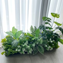 ���滨����ֲ������ȴ�����ֲ���۾��ۻ�����Ϸ����쾰����װ��
