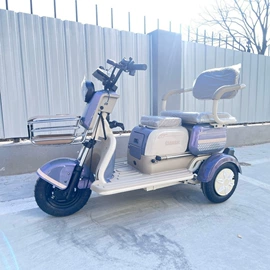 电动三轮车;其他电动车