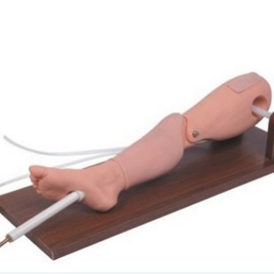 Tibia Puncture Training Module, Bone Marrow Infusion Model, Bone Puncture and Femoral Vein High Simulation