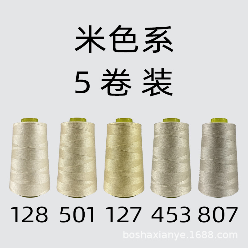 베이지 계열 5롤 세트