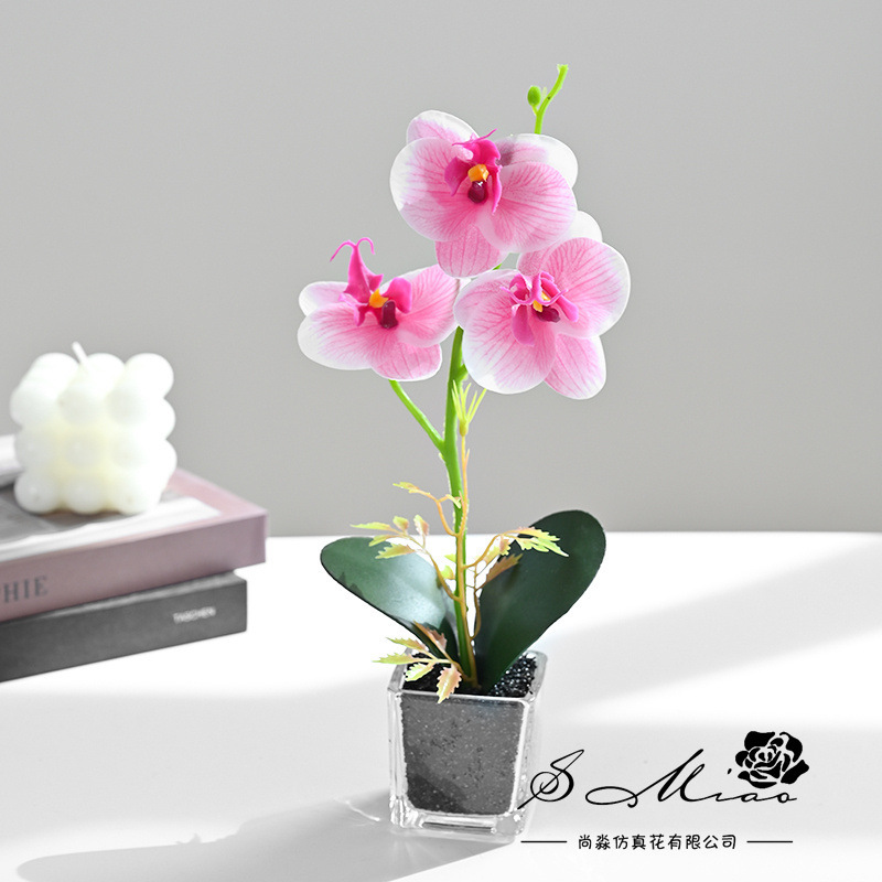 Simulación de flores pequeñas cuatro flores orquídeas mariposa fábrica de bonsai directamente para flores artificiales adornos de decoración interior flores de seda imitación en maceta image 8