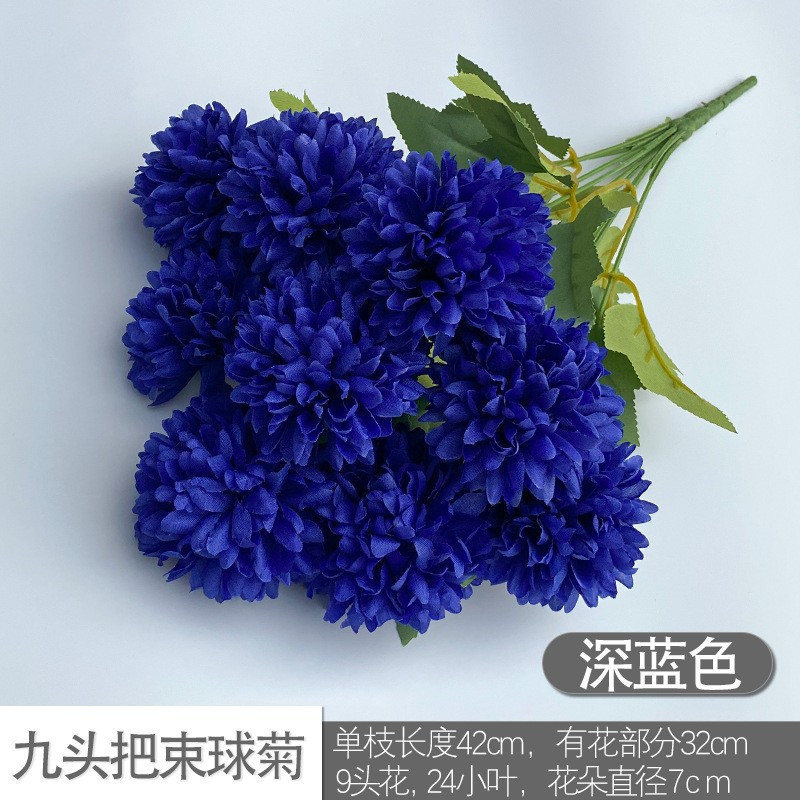 Nine -headed ball chrysanthemum dark blue